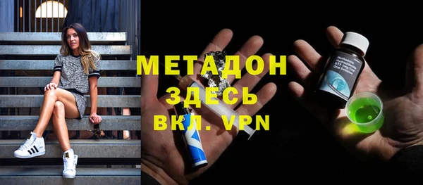 прущие грибы Санкт-Петербург