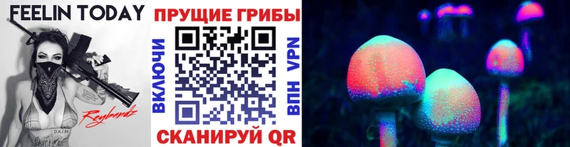 Галлюциногенные грибы MAGIC MUSHROOMS  МЕГА зеркало  Северодвинск  где купить наркотик 