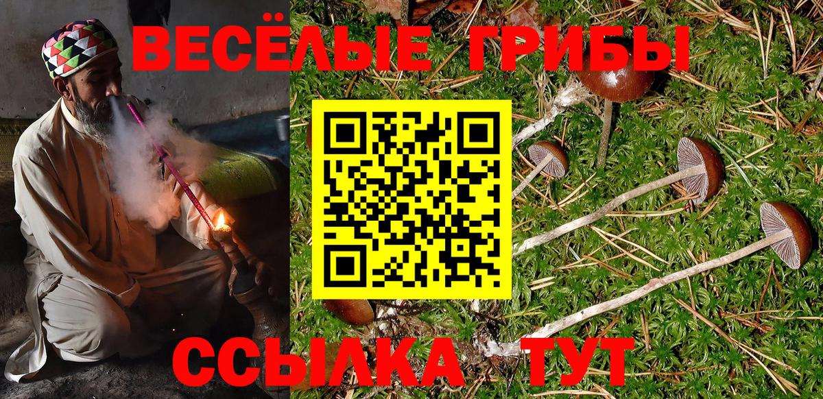 Галлюциногенные грибы GOLDEN TEACHER  Вход с VPN  Галлюциногенные грибы Cubensis  Северодвинск 