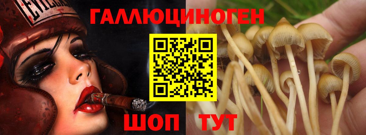 Псилоцибиновые грибы Magic Shrooms Северодвинск