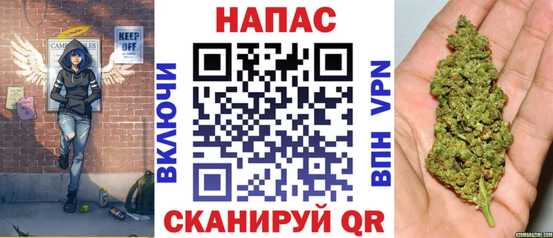 Конопля гибрид Северодвинск